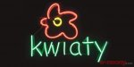Neon standardowy KWIATY