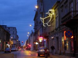 Neonowa GĄSKA BALBINKA znowu świeci